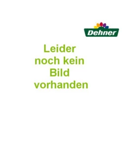 Dehner Geflechtlounge Bologna, 5-teilig 23 Dehner Geflechtlounge Bologna, 5-teilig -Gartenmöbel Verkauf 6903447 WE MO 002 LoungeBolognaNEU