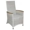 Zebra Loomus Gartensessel Geflecht Mit Teakarmlehnen Silkwhite