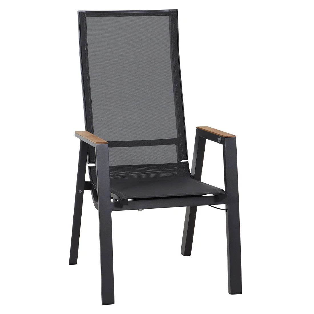 Siena Garden Rondo Gartensessel Aluminium/Ranotex®-Gewebe Matt Anthrazit/Grau 1 Siena Garden Rondo Gartensessel Aluminium/Ranotex®-Gewebe Matt Anthrazit/Grau